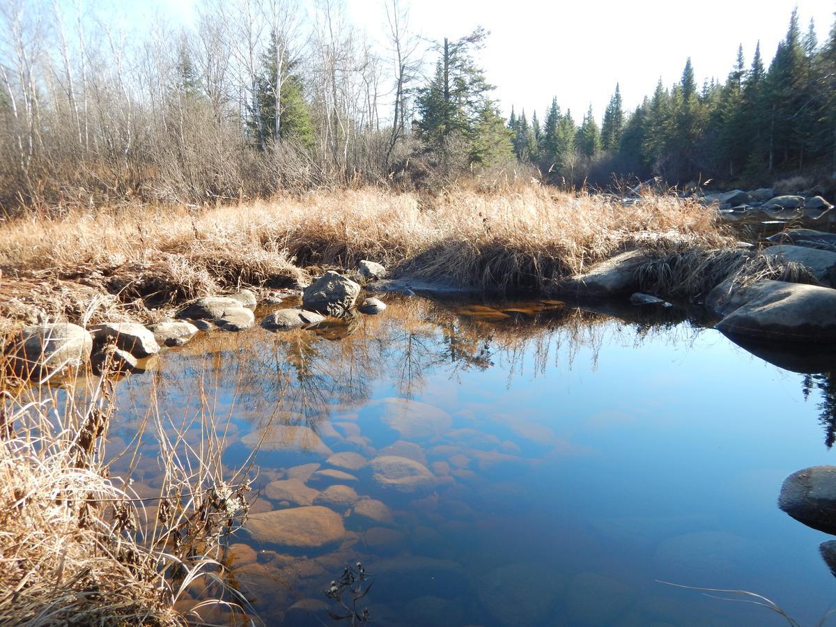 Aux Tipis De La Riviere Sauvage Villa Saint Romain Kültér fotó